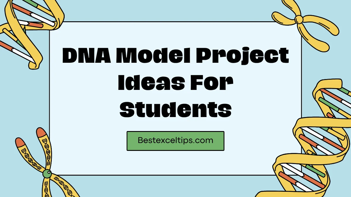 DNA Model Project Ideas For Students